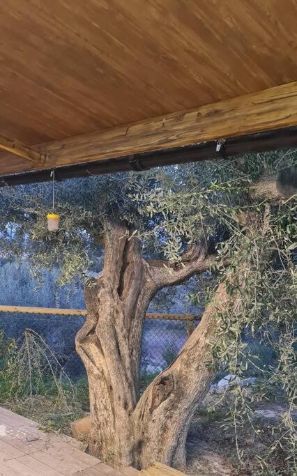 הוילה מורטאיה Casaruibella מראה חיצוני תמונה