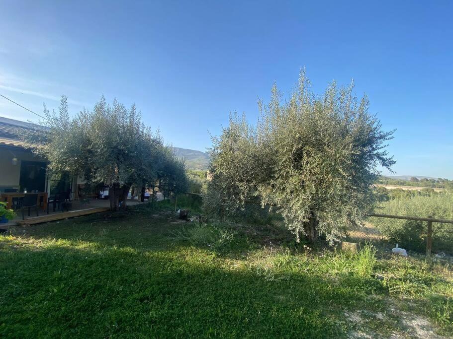 הוילה מורטאיה Casaruibella מראה חיצוני תמונה
